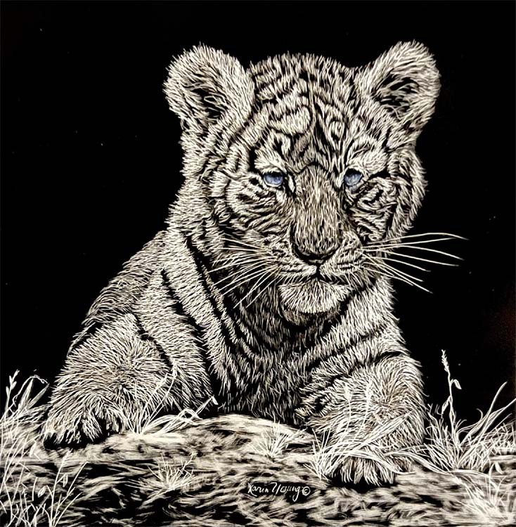 Tiger Cub Blues