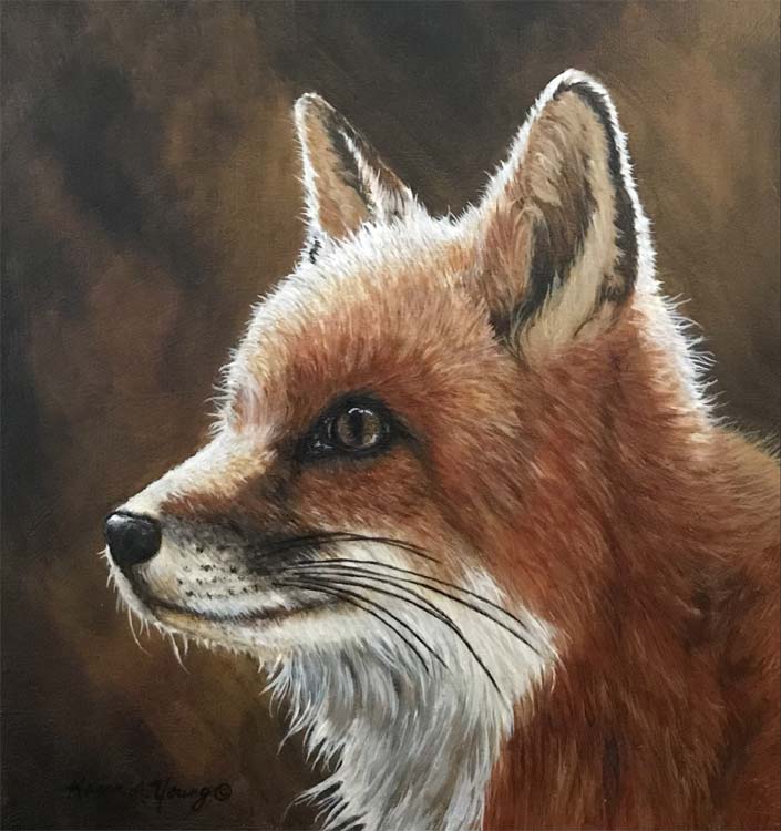 Red Fox