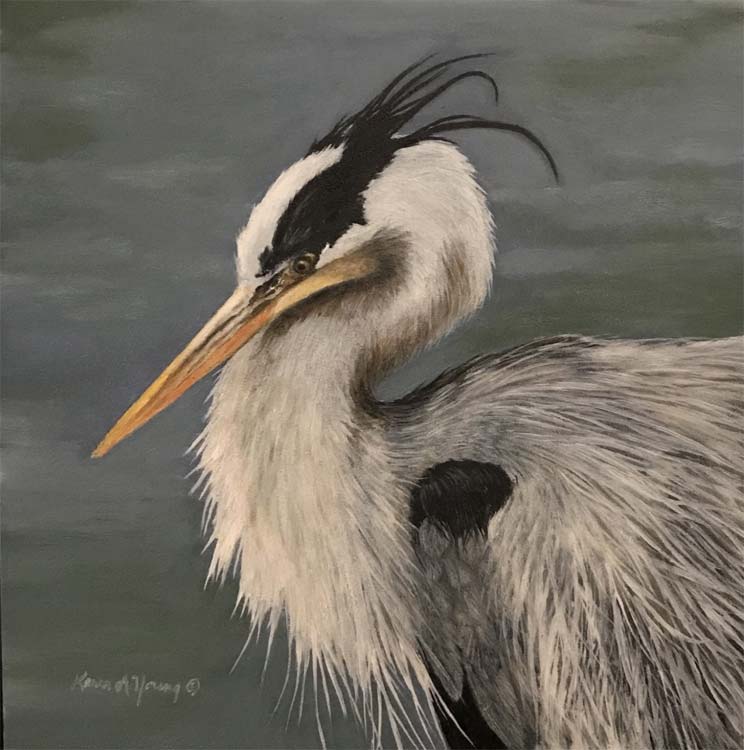 Gray Herron