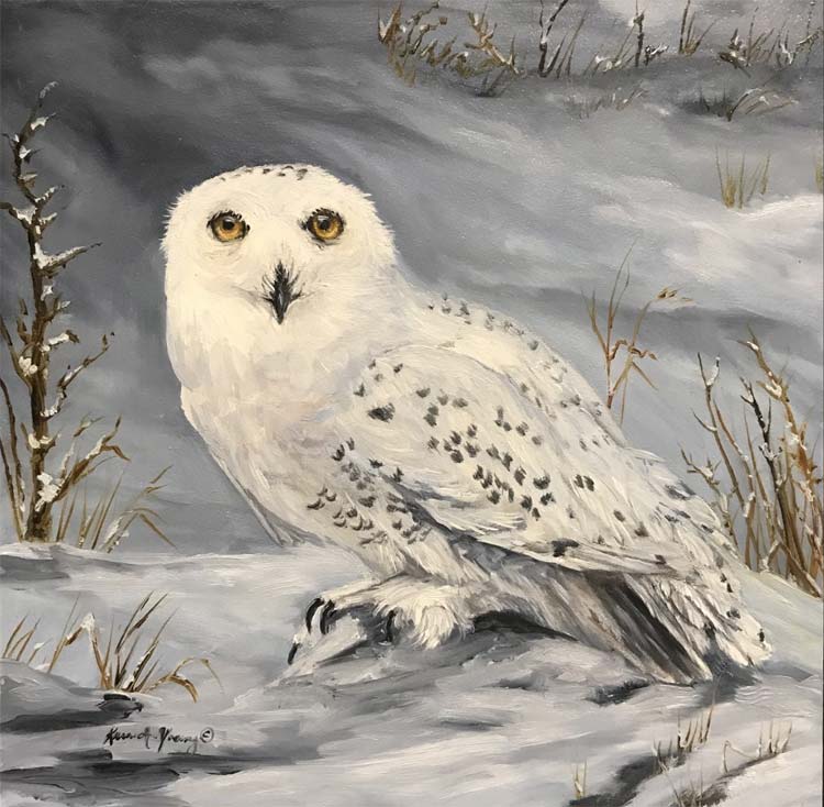 Snow Owl